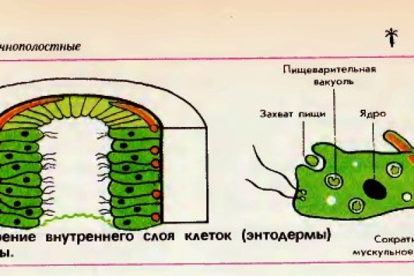 Кракен маркерлейс оф вход